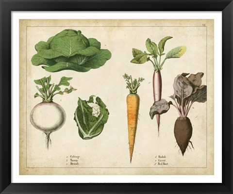 Framed Kitchen Vegetables &amp; Roots I Print