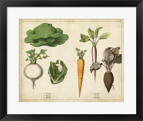 Framed Kitchen Vegetables &amp; Roots I Print