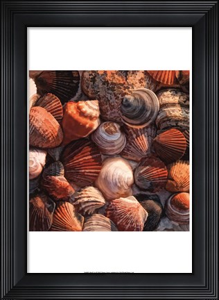 Framed Shell Yes Print