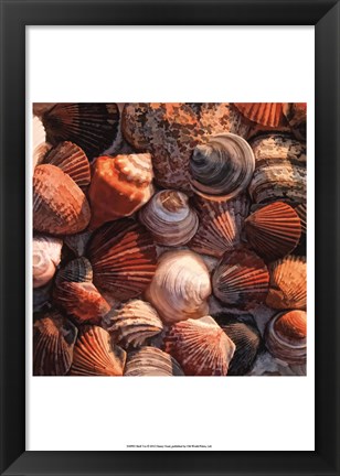 Framed Shell Yes Print