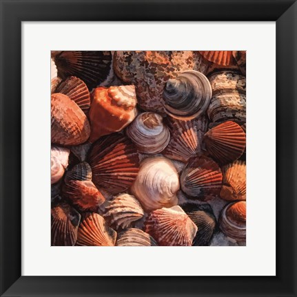 Framed Shell Yes Print