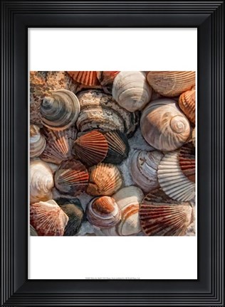 Framed What the Shell Print