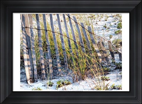 Framed Sea Oats I Print