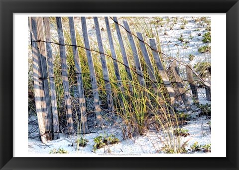 Framed Sea Oats I Print