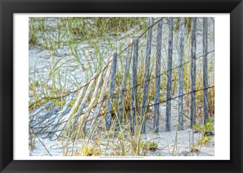 Framed Sea Oats II Print