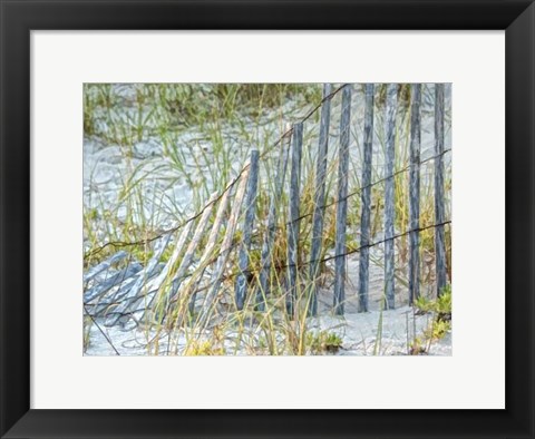 Framed Sea Oats II Print