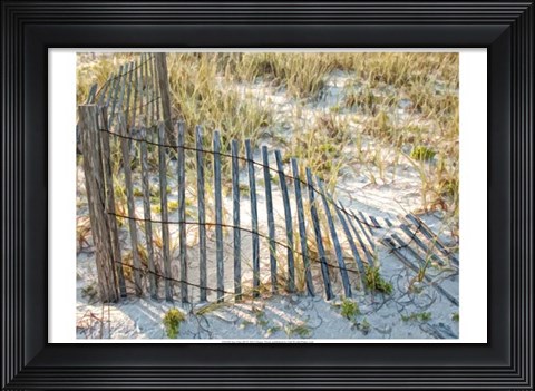 Framed Sea Oats III Print