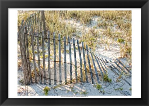 Framed Sea Oats III Print