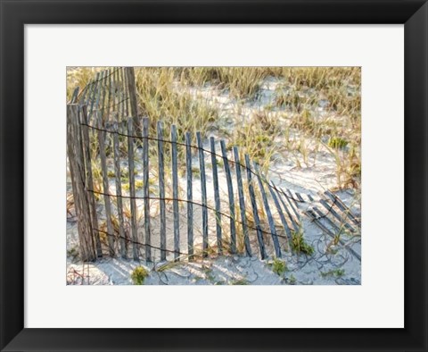 Framed Sea Oats III Print