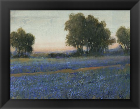 Framed Blue Bonnet Field II Print