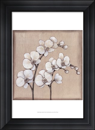Framed White Orchid II Print