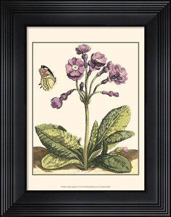 Framed Garden Vignette I Print