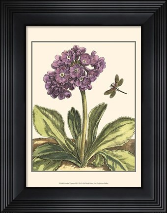 Framed Garden Vignette III Print