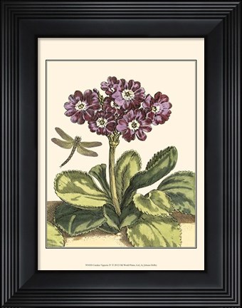 Framed Garden Vignette IV Print