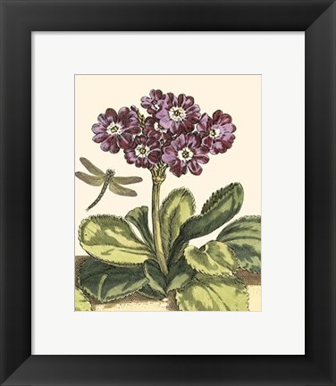 Framed Garden Vignette IV Print