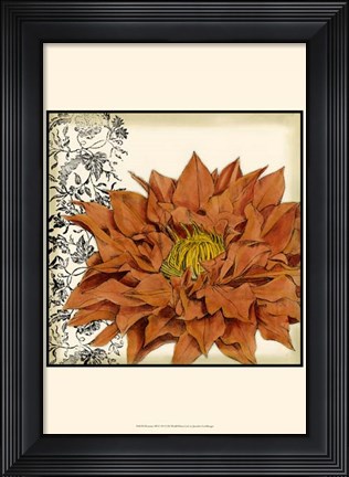 Framed Botanica III Print