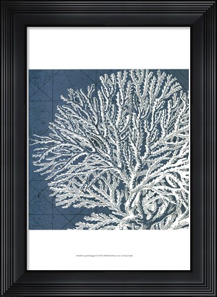 Framed Coastal Menagerie I Print