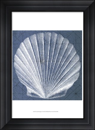 Framed Coastal Menagerie V Print