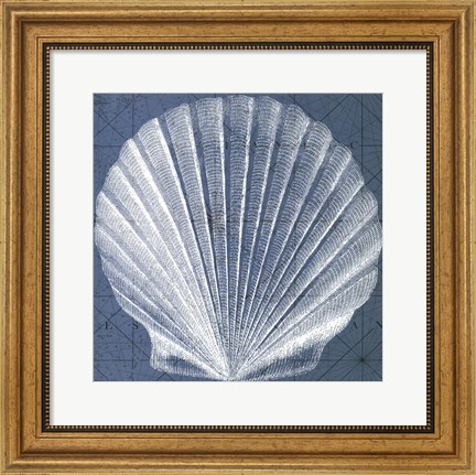 Framed Coastal Menagerie V Print