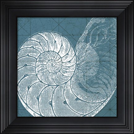 Framed Coastal Menagerie VI Print