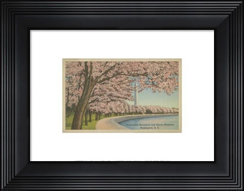 Framed Wash. Monument &amp; Cherry Blossoms Print