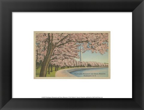 Framed Wash. Monument &amp; Cherry Blossoms Print