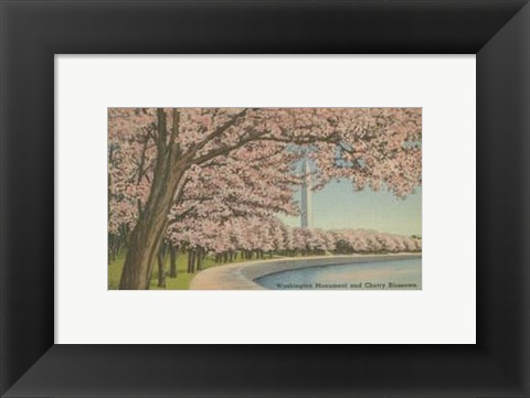 Framed Wash. Monument &amp; Cherry Blossoms Print