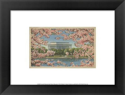 Framed Lincoln Memorial &amp; Cherry Blossoms Print
