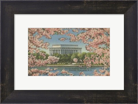 Framed Lincoln Memorial &amp; Cherry Blossoms Print