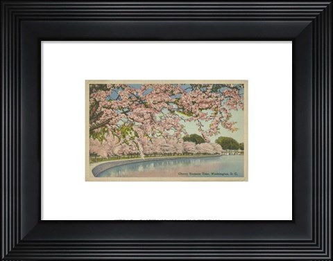 Framed Cherry Blossom Time Print