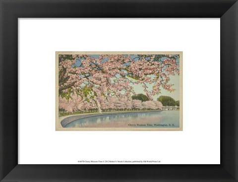 Framed Cherry Blossom Time Print