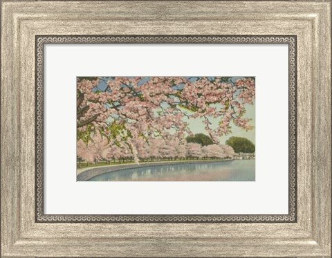 Framed Cherry Blossom Time Print