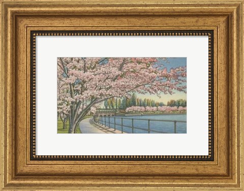 Framed Cherry Blossoms, Potomac Park Print