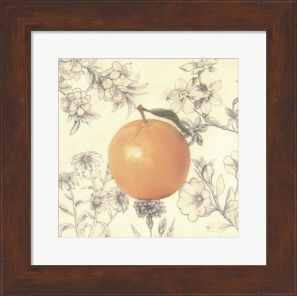 Framed Orange and Botanicals Print