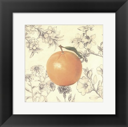 Framed Orange and Botanicals Print