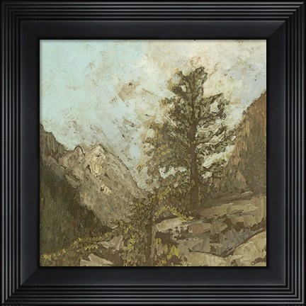 Framed Western View VI Print