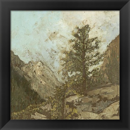 Framed Western View VI Print