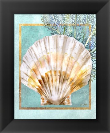 Framed Scallop Shell and Coral Print