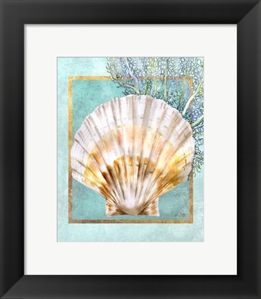 Framed Scallop Shell and Coral Print