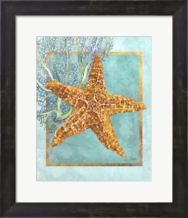 Framed Starfish and Coral Print