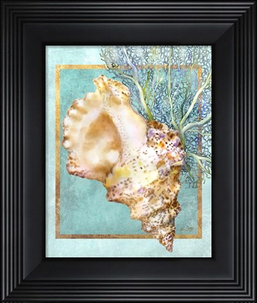 Framed Conch Shell and Coral Print