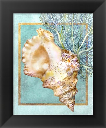 Framed Conch Shell and Coral Print