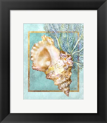 Framed Conch Shell and Coral Print