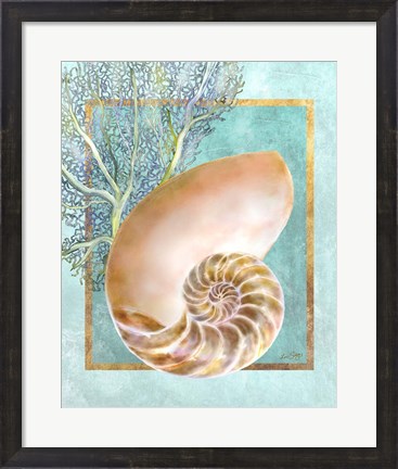 Framed Nautilus Shell and Coral Print