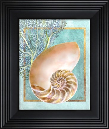 Framed Nautilus Shell and Coral Print