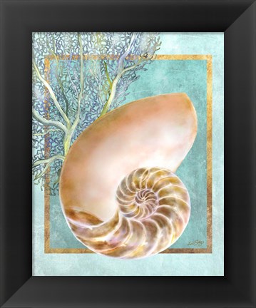 Framed Nautilus Shell and Coral Print