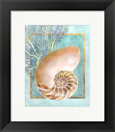 Framed Nautilus Shell and Coral Print