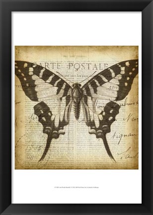 Framed Carte Postale Butterfly I Print