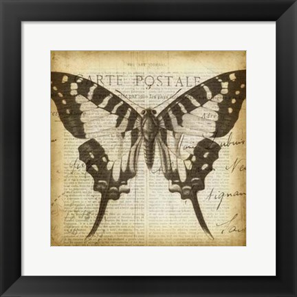 Framed Carte Postale Butterfly I Print
