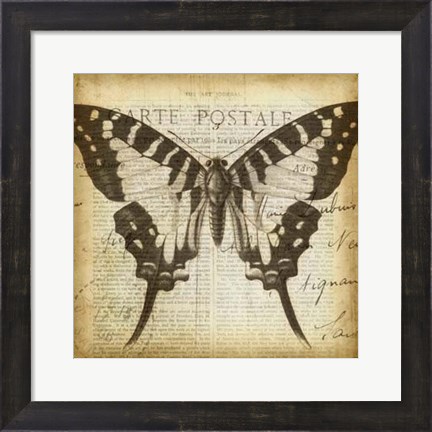 Framed Carte Postale Butterfly I Print
